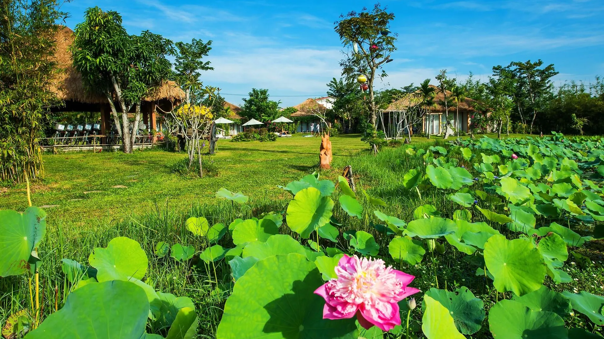Allamanda Estate Hoi An